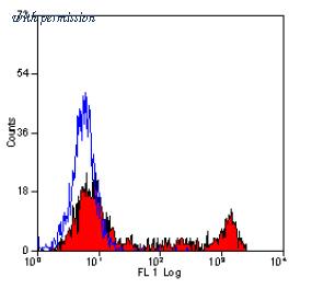 OriGene SM1784A image 1