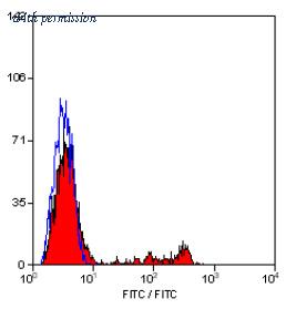 OriGene SM1784FT image 1