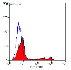 OriGene SM1784PS image 1