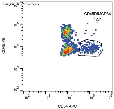 OriGene SM1791AC image 1