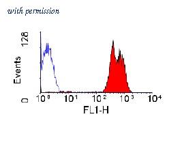 OriGene SM1793F image 1