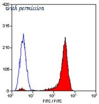 OriGene SM1795BT image 1
