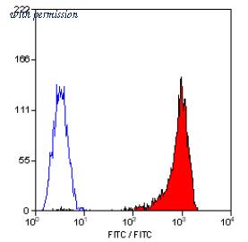 OriGene SM1795F image 1
