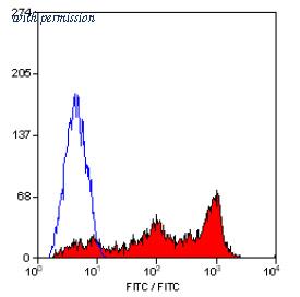 OriGene SM1797PT image 1