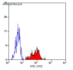 OriGene SM1818F image 1