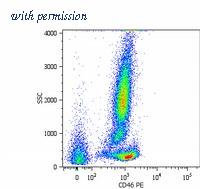 OriGene SM1819PS image 1