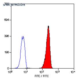 OriGene SM1844F image 1