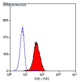 OriGene SM1844P image 1