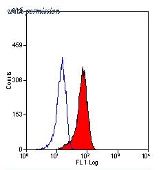 OriGene SM1857P image 1
