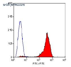 OriGene SM1898FT image 1