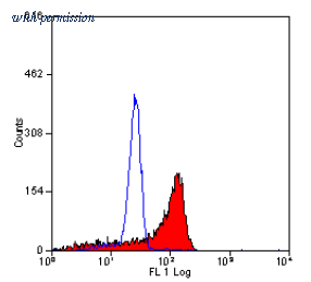 OriGene SM2004P image 1