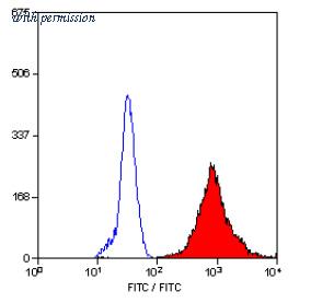 OriGene SM2011FT image 1