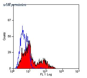 OriGene SM2036P image 1