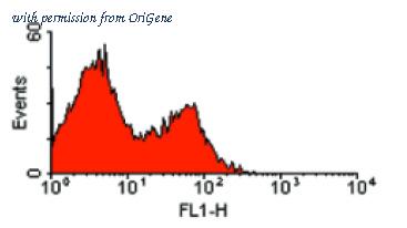 OriGene SM2168P image 1
