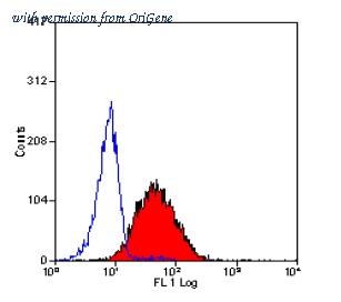 OriGene SM2212R image 1