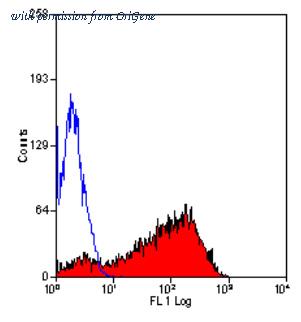 OriGene SM2261R image 1