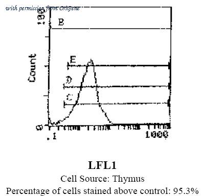 OriGene SM261B image 1