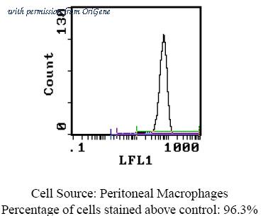 OriGene SM262B image 1