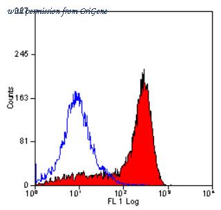 OriGene SM262PS image 1
