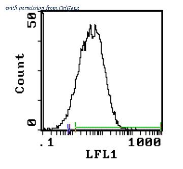 OriGene SM289B image 1