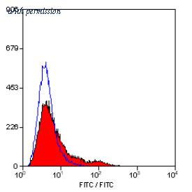 OriGene SM289PX image 1