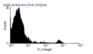 OriGene SM293R image 1