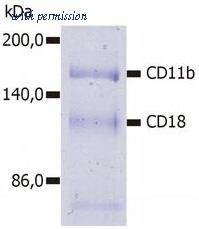 OriGene SM3007AC image 1