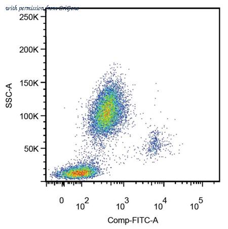 OriGene SM3009F image 1
