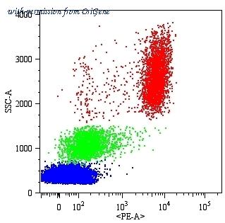 OriGene SM3011R image 1
