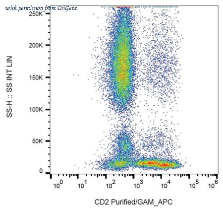 OriGene SM3013P image 1