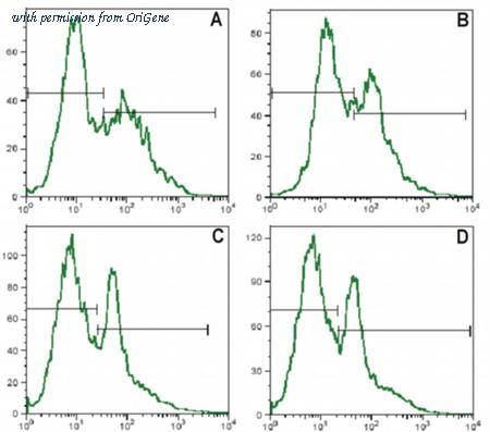 OriGene SM3015F image 1