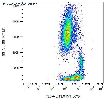 OriGene SM3016APC image 1