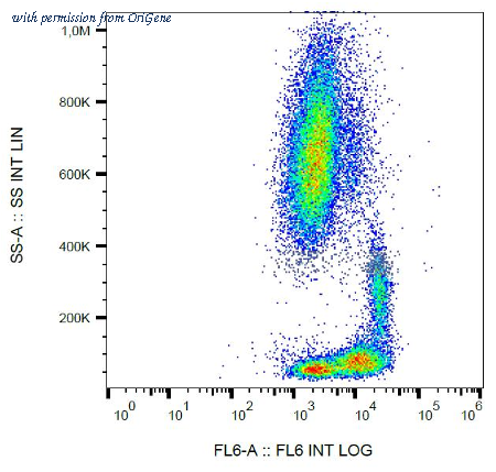 OriGene SM3016B image 1