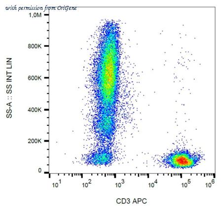 OriGene SM3017APC image 1