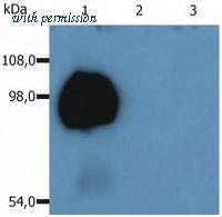 OriGene SM3023LE image 1