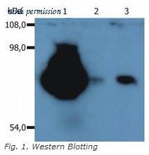 OriGene SM3024F image 1