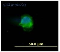 OriGene SM3025P image 1