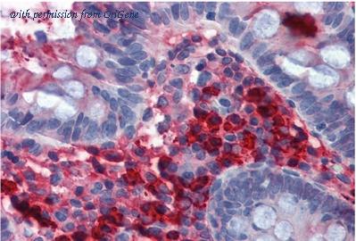 OriGene SM3060P image 1