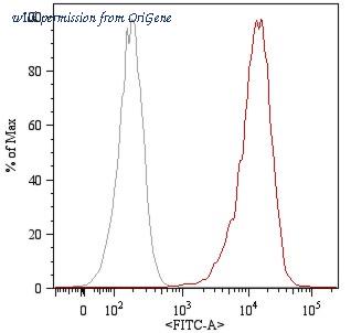 OriGene SM3078F image 1