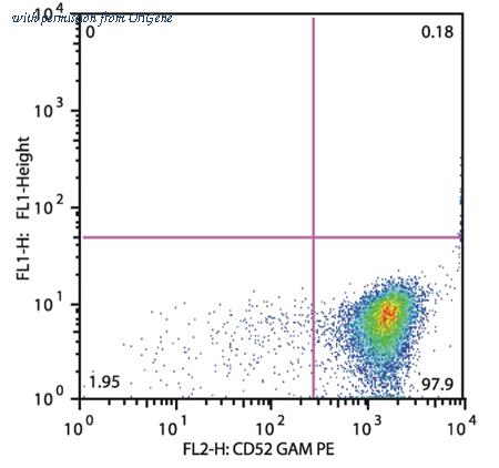OriGene SM3081P image 1