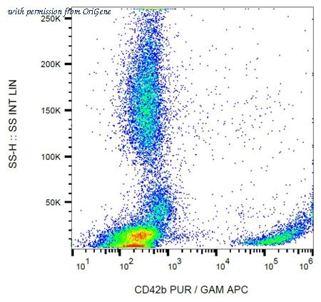 OriGene SM3082P image 1