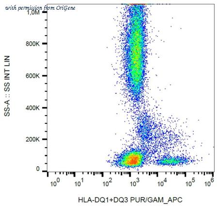 OriGene SM3087P image 1
