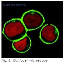 OriGene SM3122RP image 1
