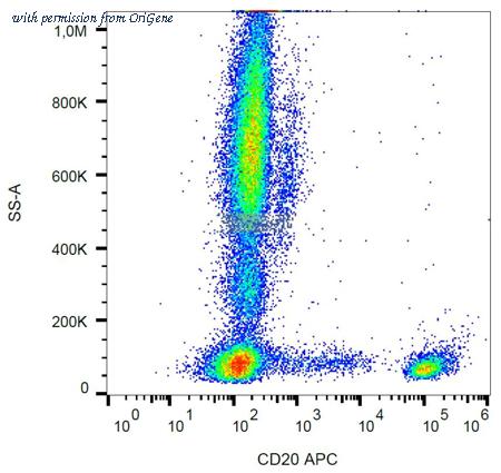 OriGene SM3140APC image 1