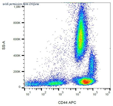 OriGene SM3153APC image 1