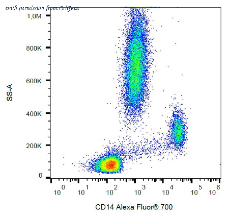 OriGene SM3163APC image 1