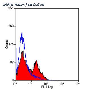 OriGene SM321LE image 1
