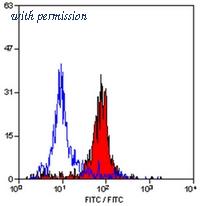 OriGene SM464PS image 1