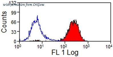 OriGene SM502F image 1