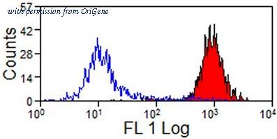 OriGene SM504F image 1